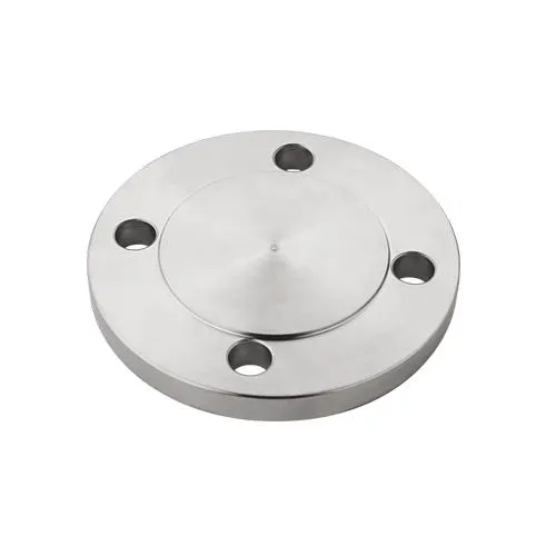 Stainless Steel DIN Cover Flange